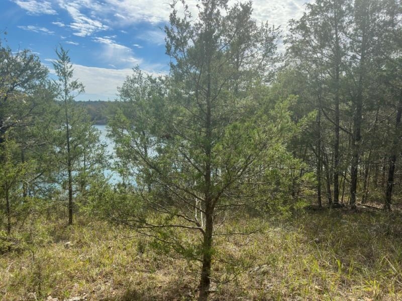 Photo 4 - Vacant Land for sale – 000  San Juan   Cherokee Village, AR