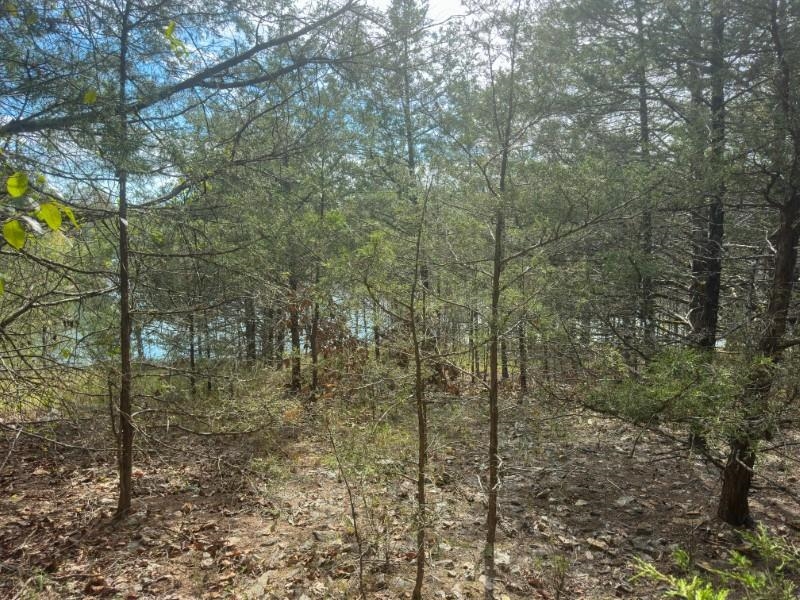 Photo 5 - Vacant Land for sale – 000  San Juan   Cherokee Village, AR