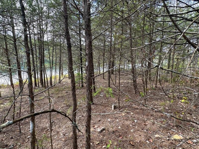 Photo 8 - Vacant Land for sale – 000  San Juan   Cherokee Village, AR