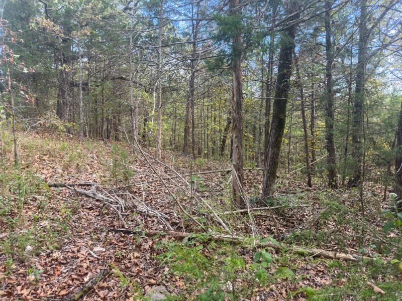 Photo 9 - Vacant Land for sale – 000  San Juan   Cherokee Village, AR