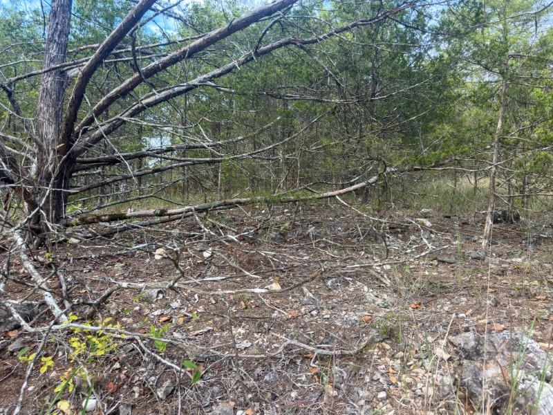 Photo 10 - Vacant Land for sale – 000  San Juan   Cherokee Village, AR