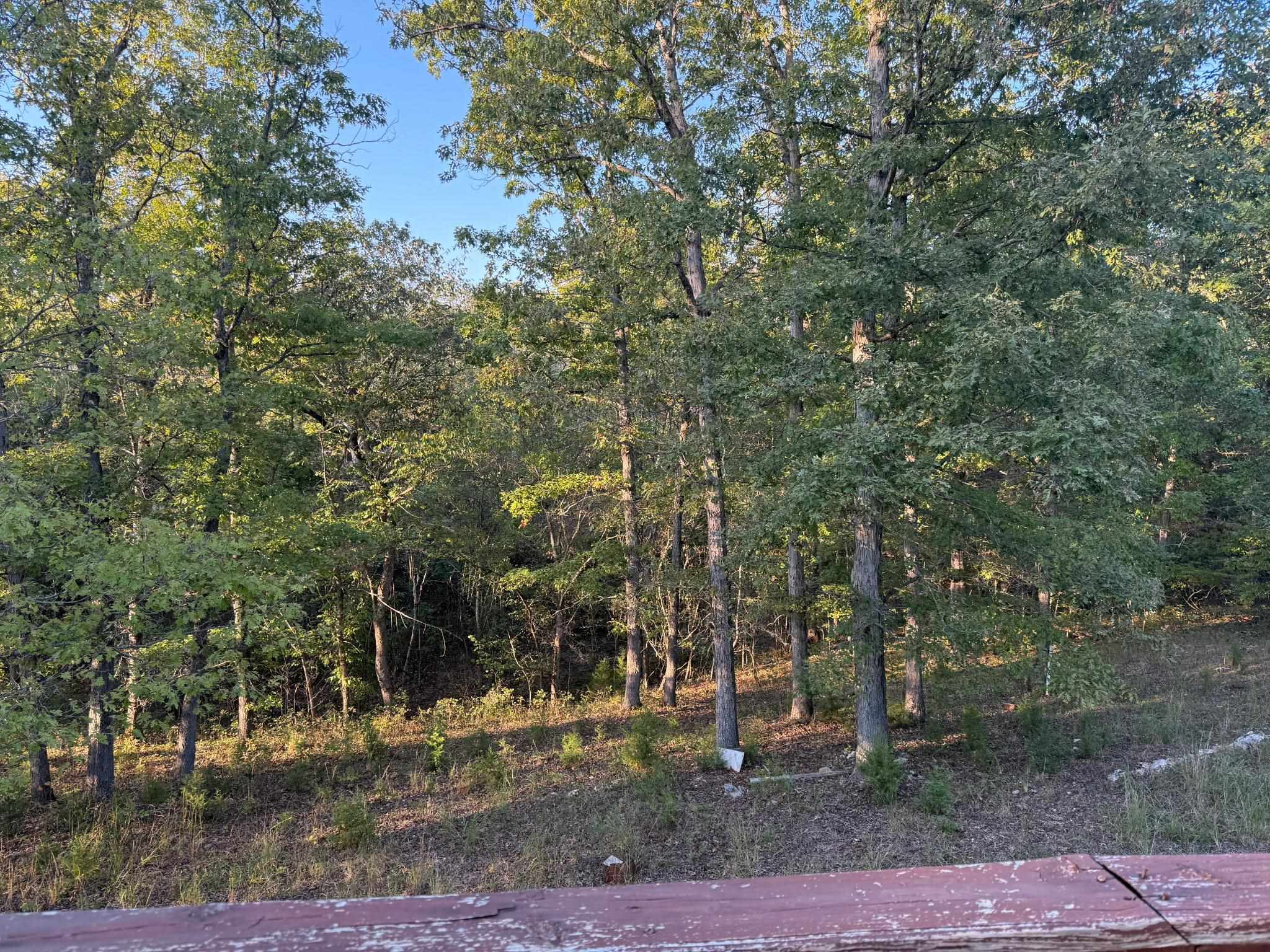 Photo 35 - Residential for sale – 6589  Mount Calm Rd   Gepp, AR