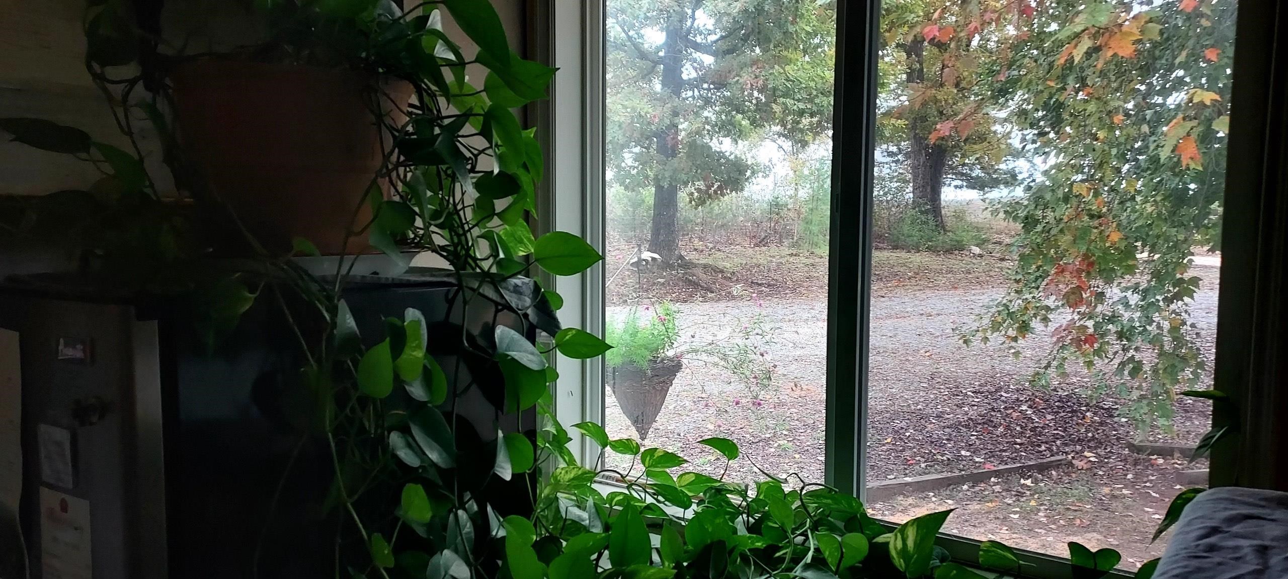 Photo 8 - Residential for sale – 6589  Mount Calm Rd   Gepp, AR