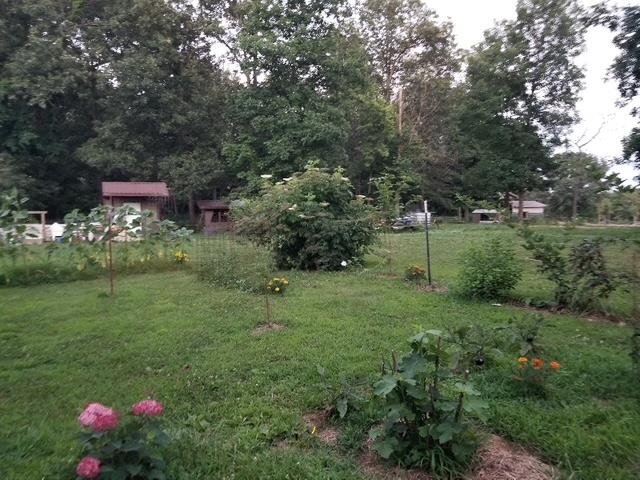 Photo 47 - Residential for sale – 661  Cricket Pass Road   Camp, AR