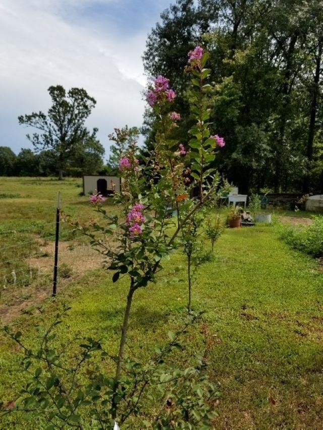 Photo 49 - Residential for sale – 661  Cricket Pass Road   Camp, AR