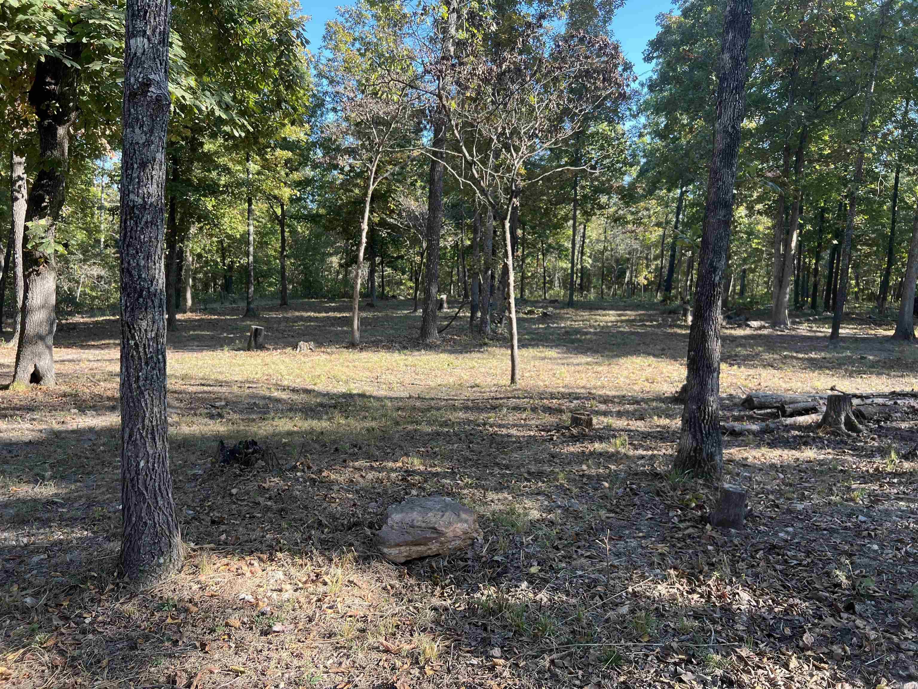 Photo 5 - Vacant Land for sale – 917  Foxfield Road   Mammoth Spring, AR