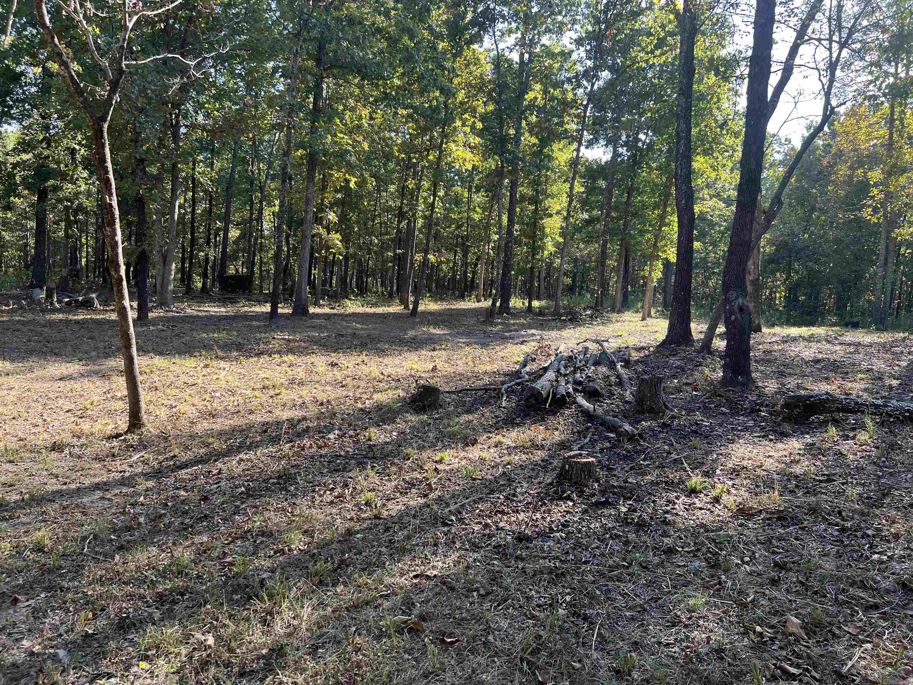 Photo 7 - Vacant Land for sale – 917  Foxfield Road   Mammoth Spring, AR