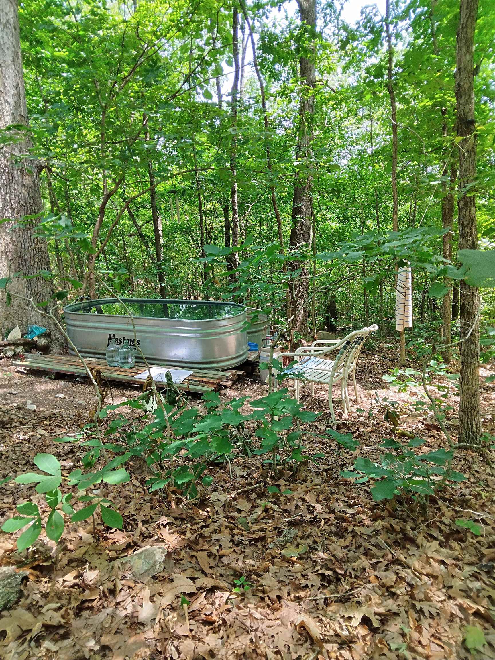 Photo 7 - Vacant Land for sale – 8329  Nine Mile Ridge Road   Hardy, AR