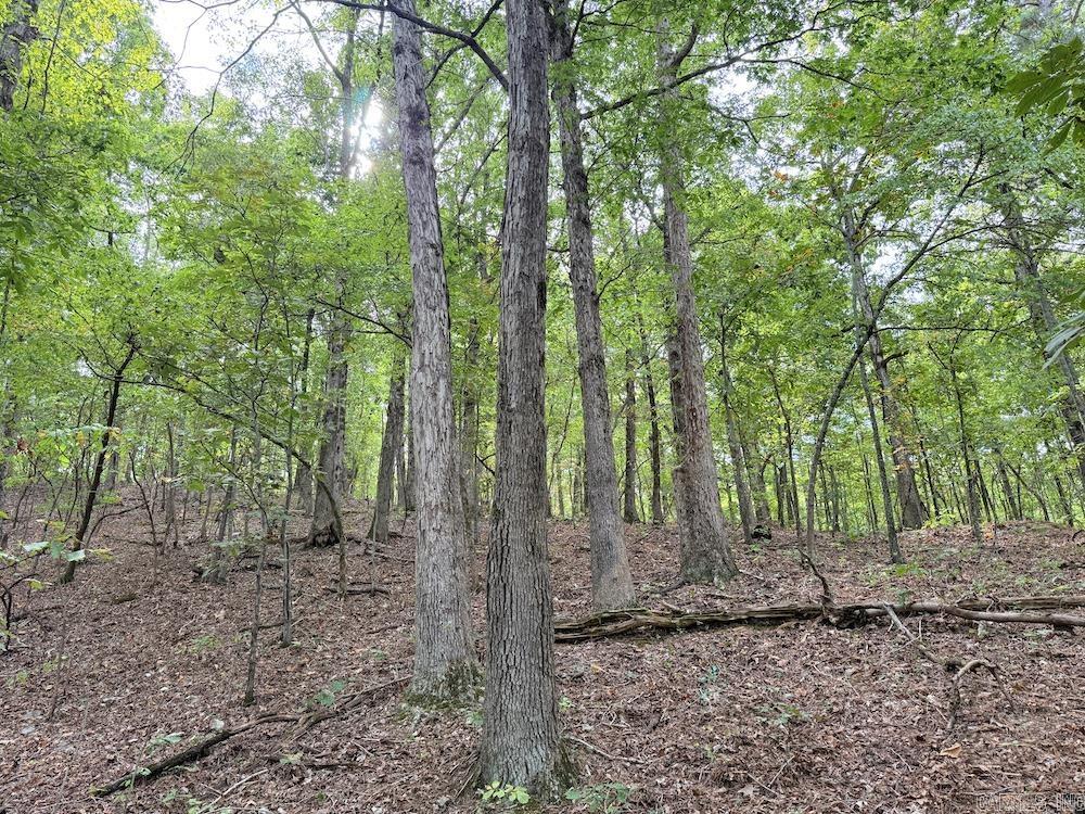 Photo 2 - Vacant Land for sale –   HWY 9   Melbourne, AR