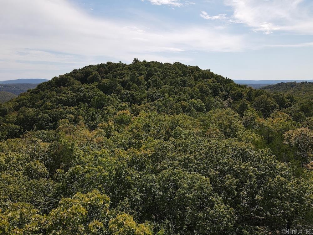 Photo 11 - Vacant Land for sale –   HWY 9   Melbourne, AR