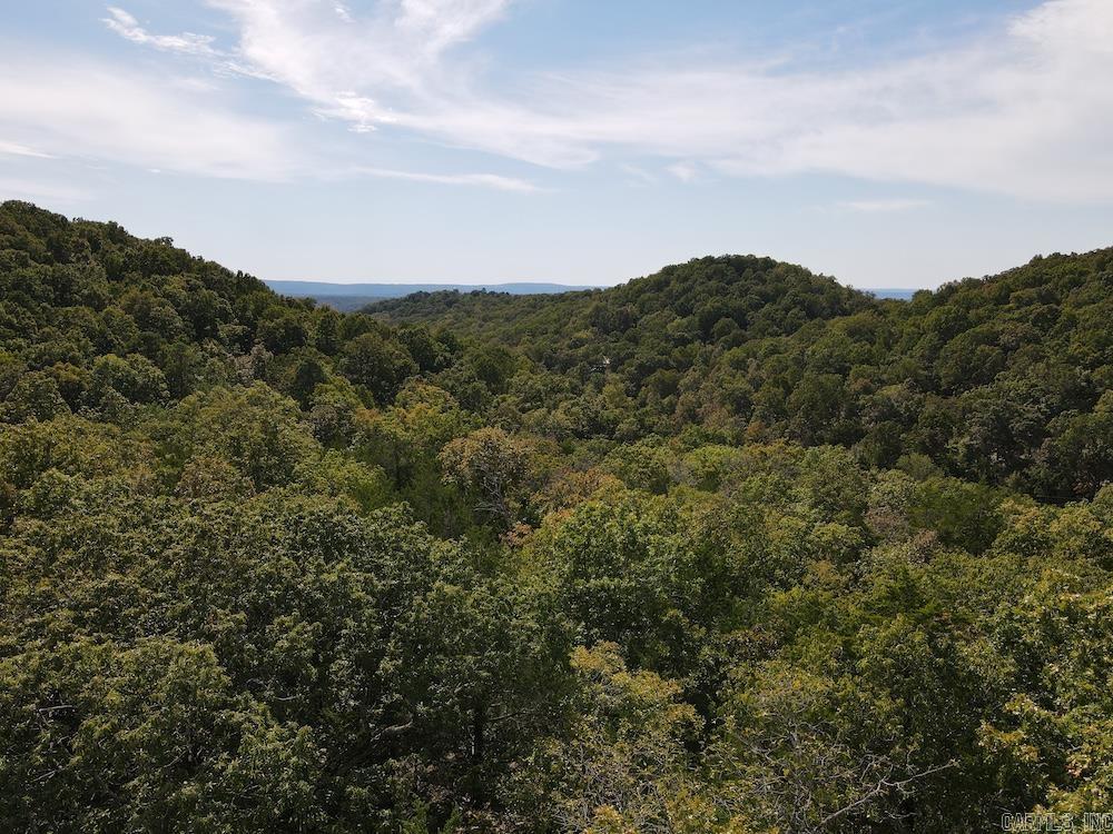 Photo 12 - Vacant Land for sale –   HWY 9   Melbourne, AR