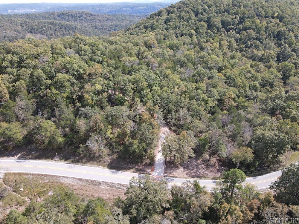 Photo 14 - Vacant Land for sale –   HWY 9   Melbourne, AR