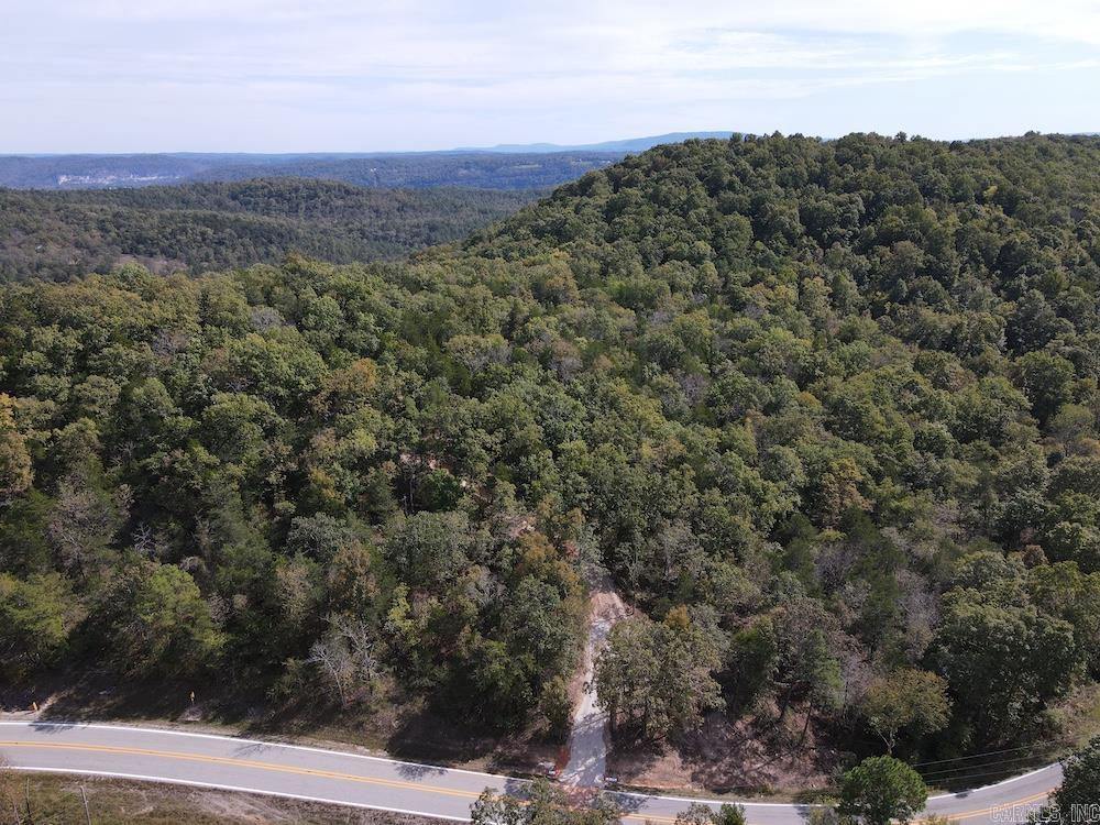 Photo 15 - Vacant Land for sale –   HWY 9   Melbourne, AR