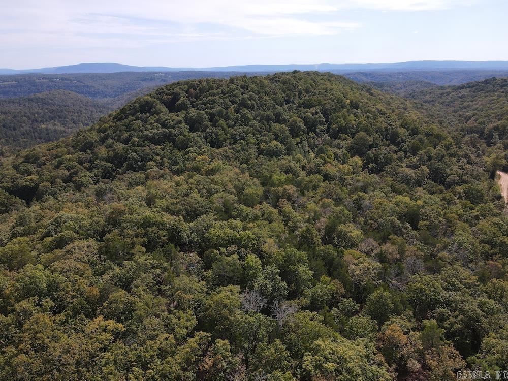 Photo 16 - Vacant Land for sale –   HWY 9   Melbourne, AR