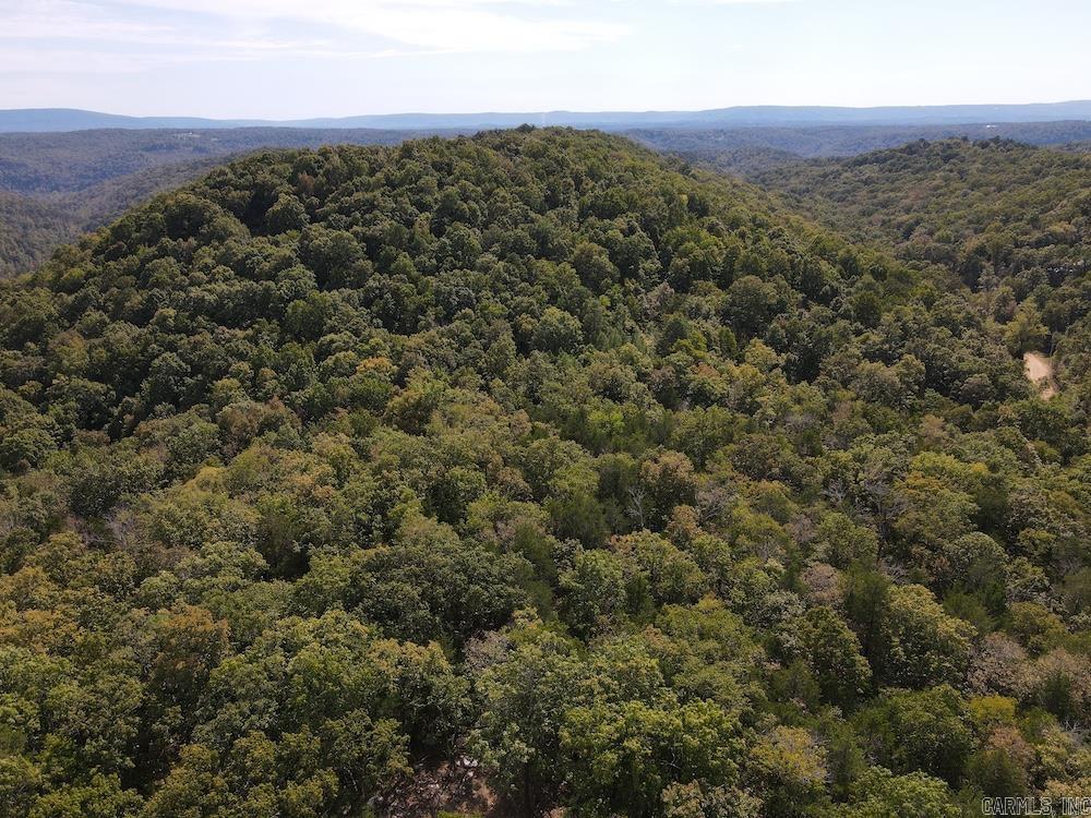 Photo 17 - Vacant Land for sale –   HWY 9   Melbourne, AR