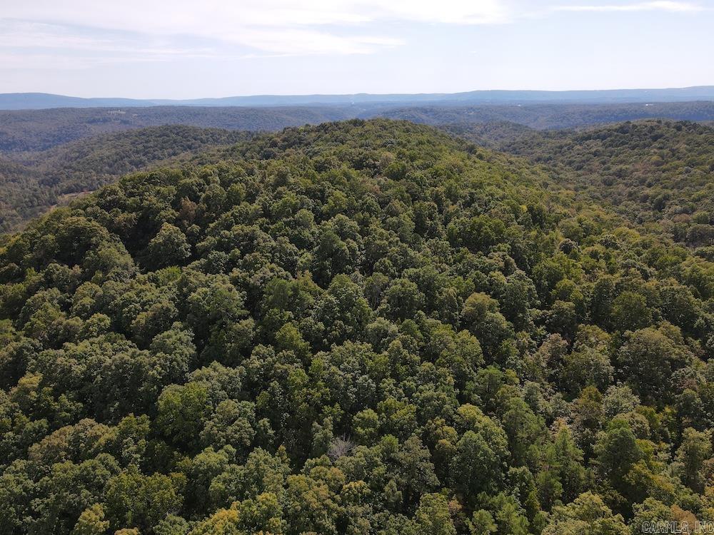 Photo 18 - Vacant Land for sale –   HWY 9   Melbourne, AR