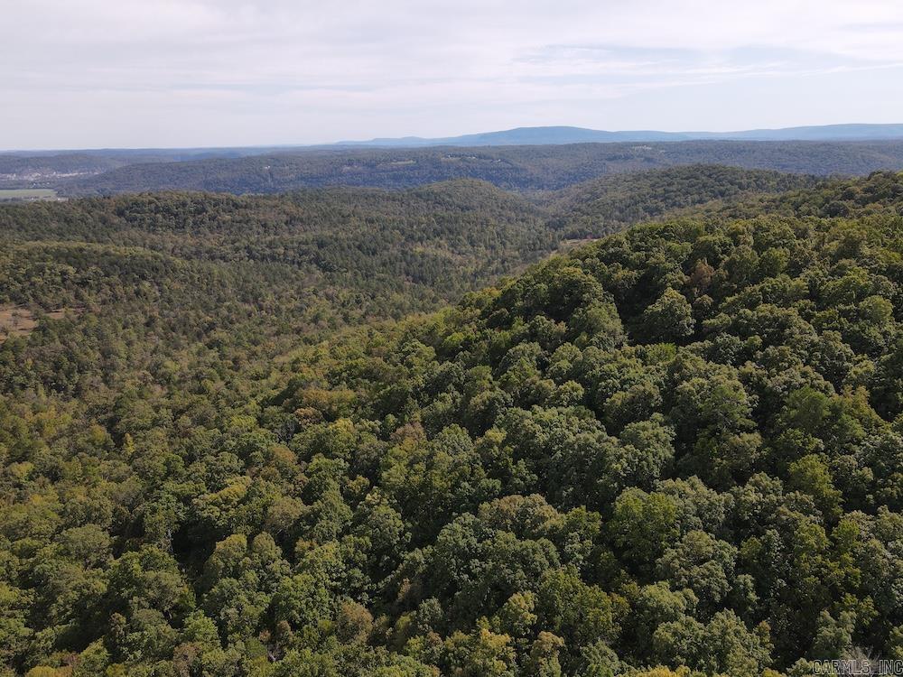 Photo 19 - Vacant Land for sale –   HWY 9   Melbourne, AR