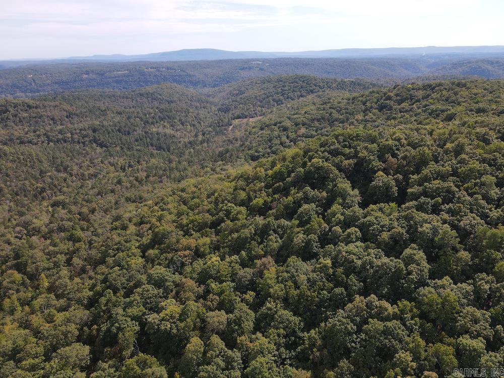 Photo 20 - Vacant Land for sale –   HWY 9   Melbourne, AR