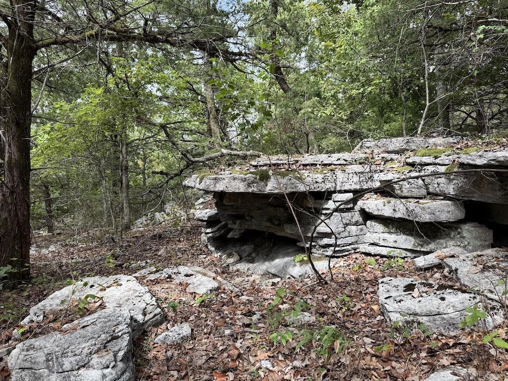 Photo 3 - Vacant Land for sale –   HWY 9   Melbourne, AR