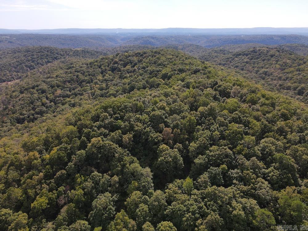 Photo 21 - Vacant Land for sale –   HWY 9   Melbourne, AR
