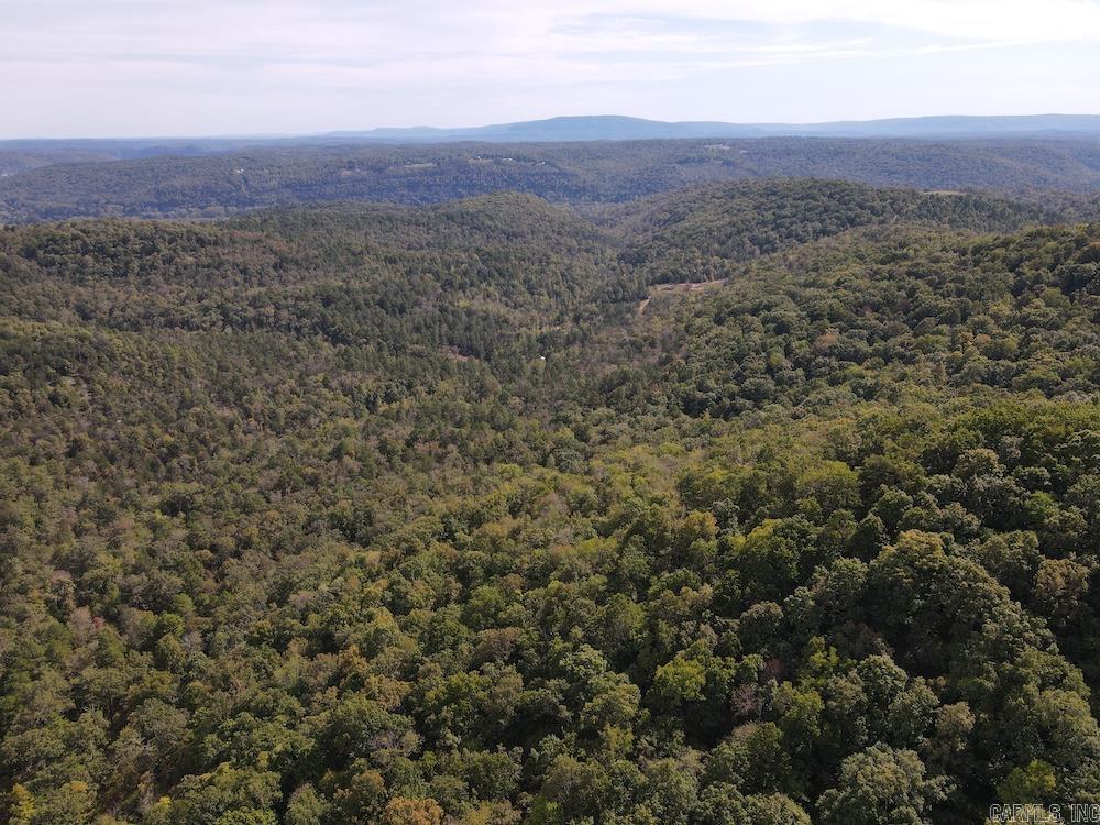 Photo 22 - Vacant Land for sale –   HWY 9   Melbourne, AR