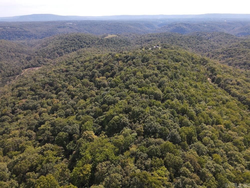 Photo 24 - Vacant Land for sale –   HWY 9   Melbourne, AR