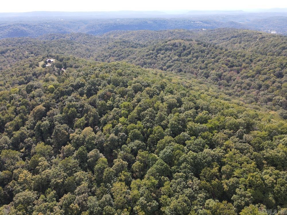 Photo 25 - Vacant Land for sale –   HWY 9   Melbourne, AR