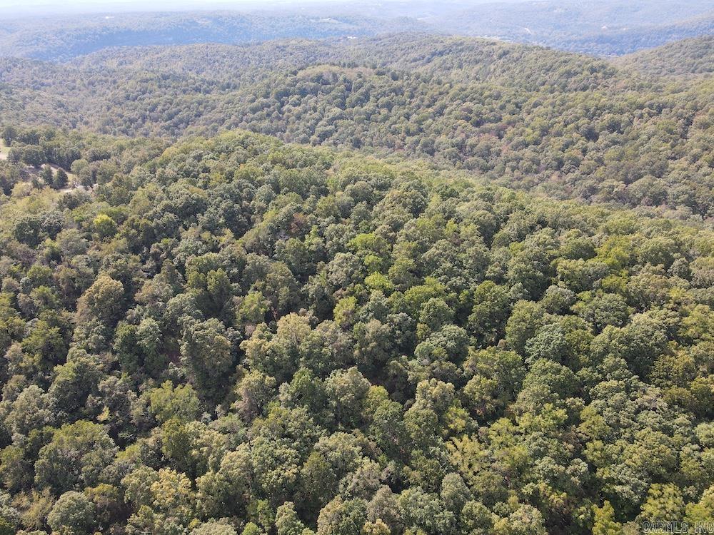 Photo 26 - Vacant Land for sale –   HWY 9   Melbourne, AR
