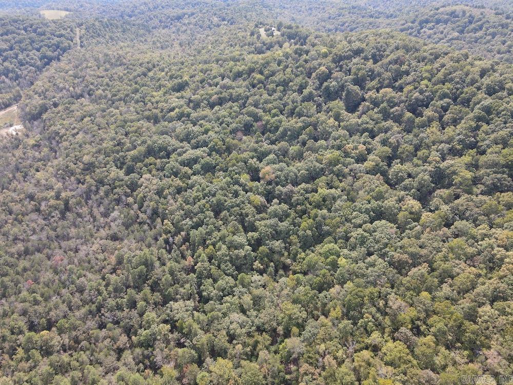 Photo 27 - Vacant Land for sale –   HWY 9   Melbourne, AR