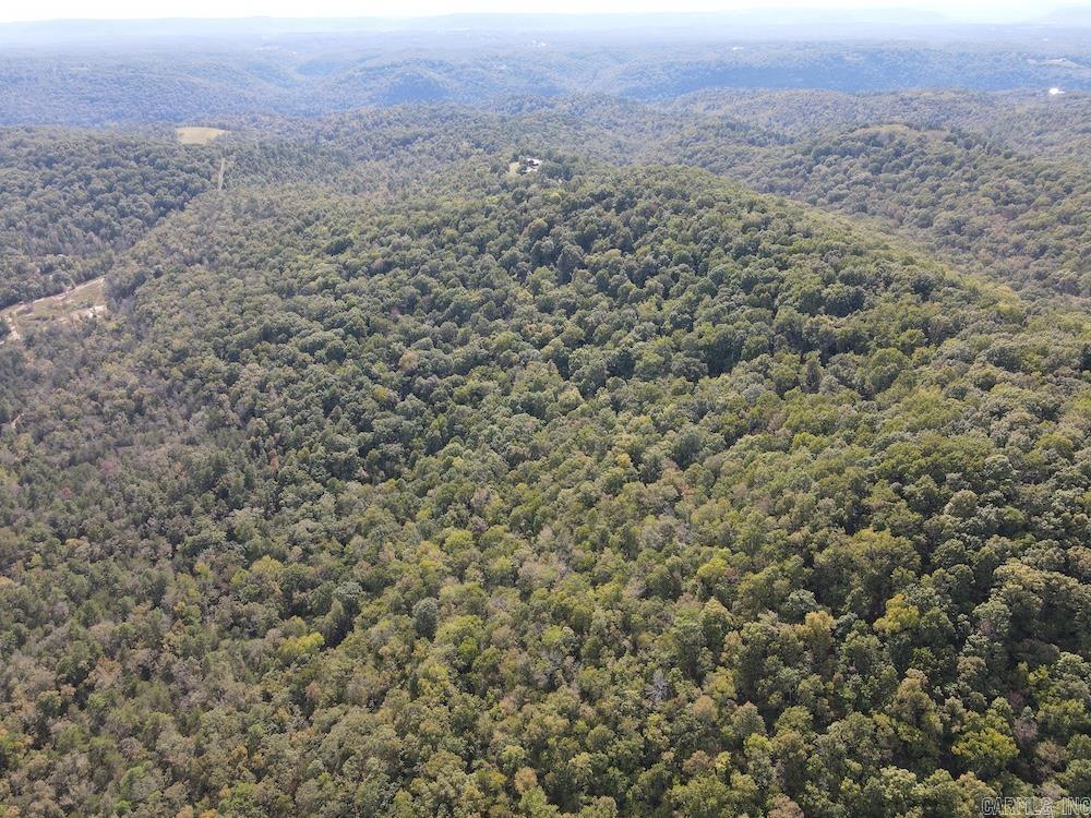 Photo 28 - Vacant Land for sale –   HWY 9   Melbourne, AR