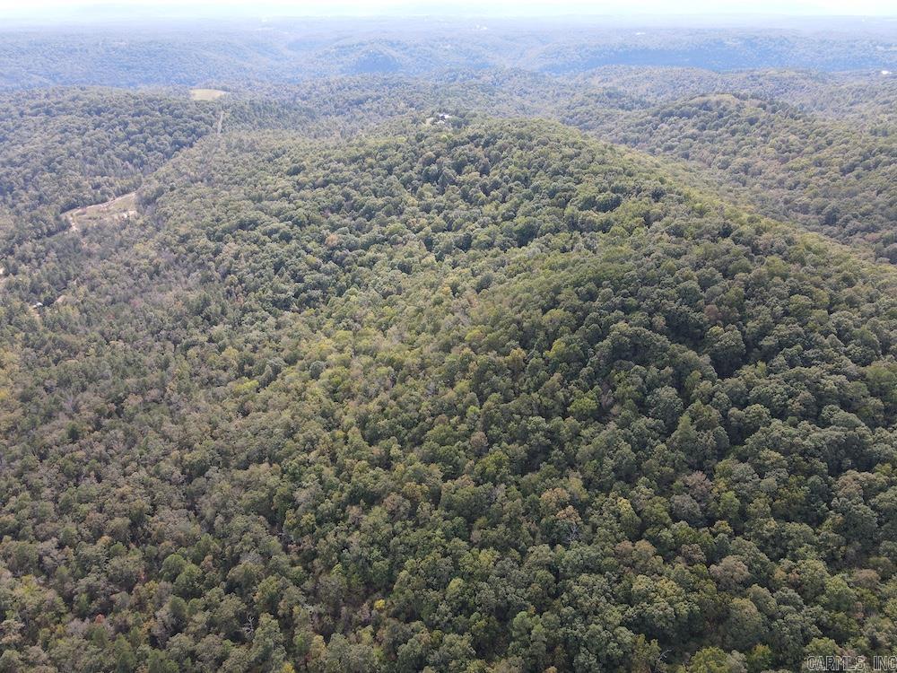 Photo 29 - Vacant Land for sale –   HWY 9   Melbourne, AR