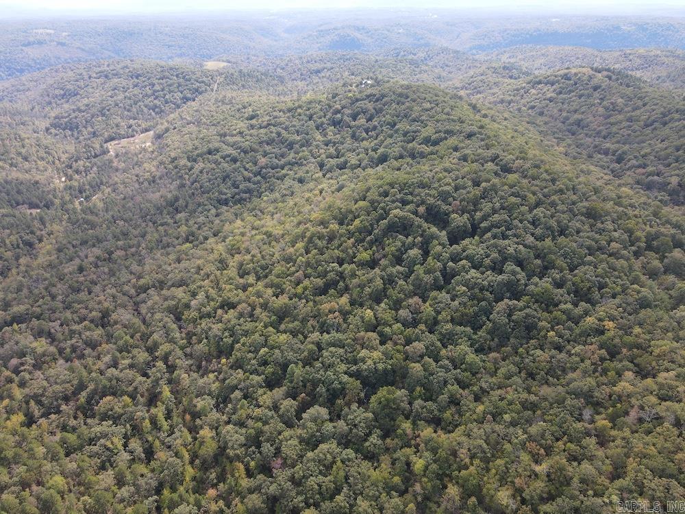 Photo 30 - Vacant Land for sale –   HWY 9   Melbourne, AR