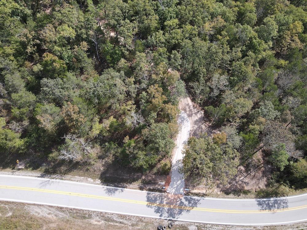 Photo 4 - Vacant Land for sale –   HWY 9   Melbourne, AR
