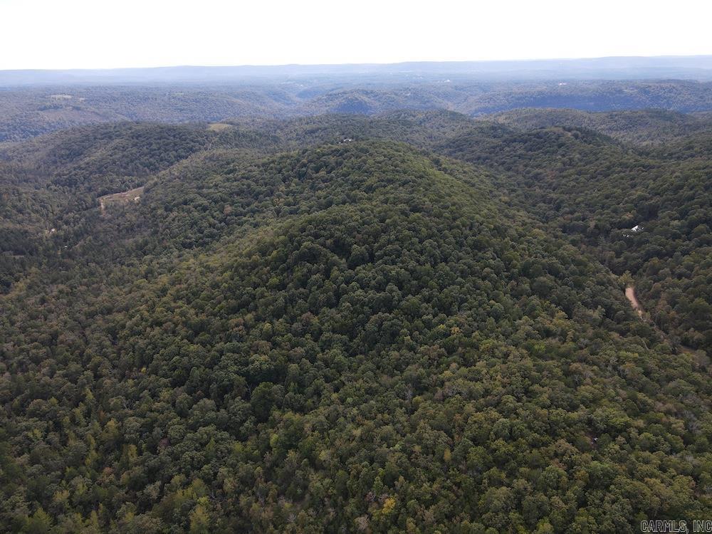 Photo 33 - Vacant Land for sale –   HWY 9   Melbourne, AR