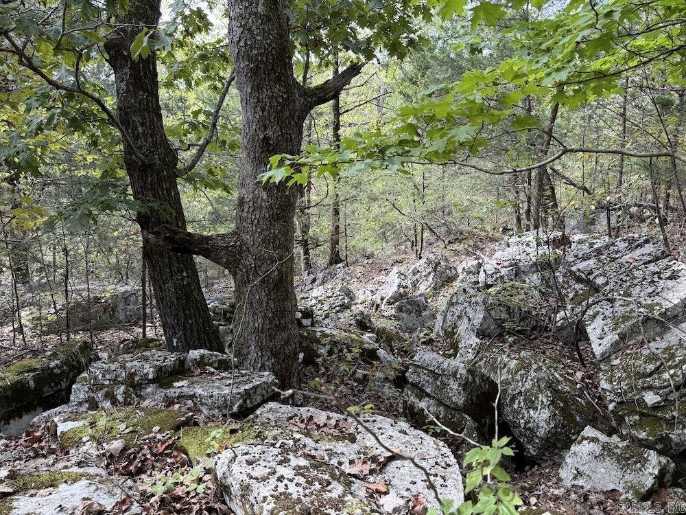Photo 37 - Vacant Land for sale –   HWY 9   Melbourne, AR