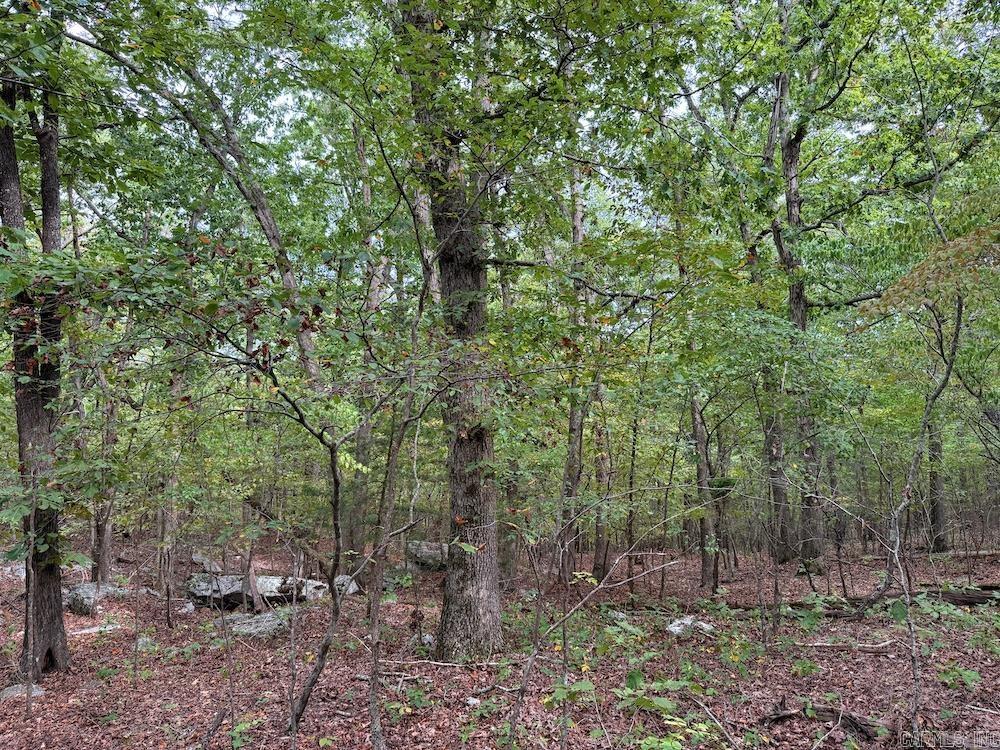 Photo 40 - Vacant Land for sale –   HWY 9   Melbourne, AR