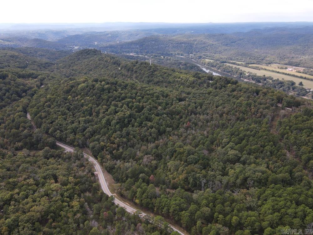 Photo 5 - Vacant Land for sale –   HWY 9   Melbourne, AR