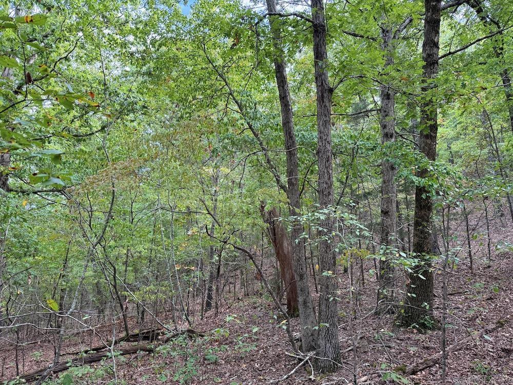 Photo 41 - Vacant Land for sale –   HWY 9   Melbourne, AR
