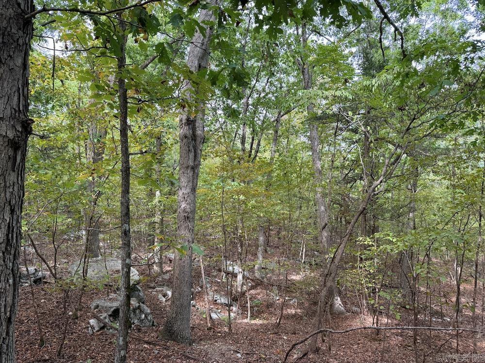Photo 43 - Vacant Land for sale –   HWY 9   Melbourne, AR