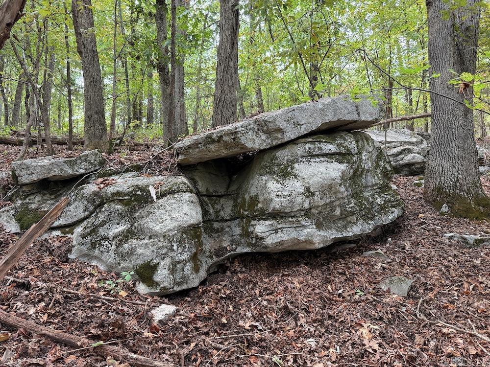 Photo 44 - Vacant Land for sale –   HWY 9   Melbourne, AR