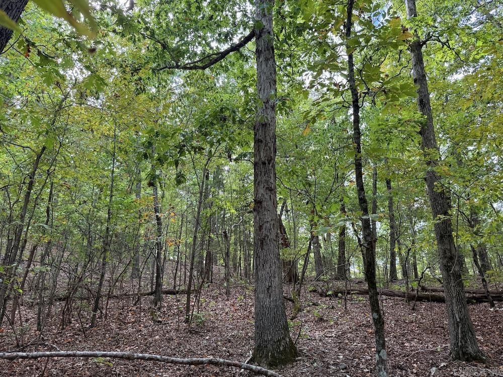 Photo 45 - Vacant Land for sale –   HWY 9   Melbourne, AR