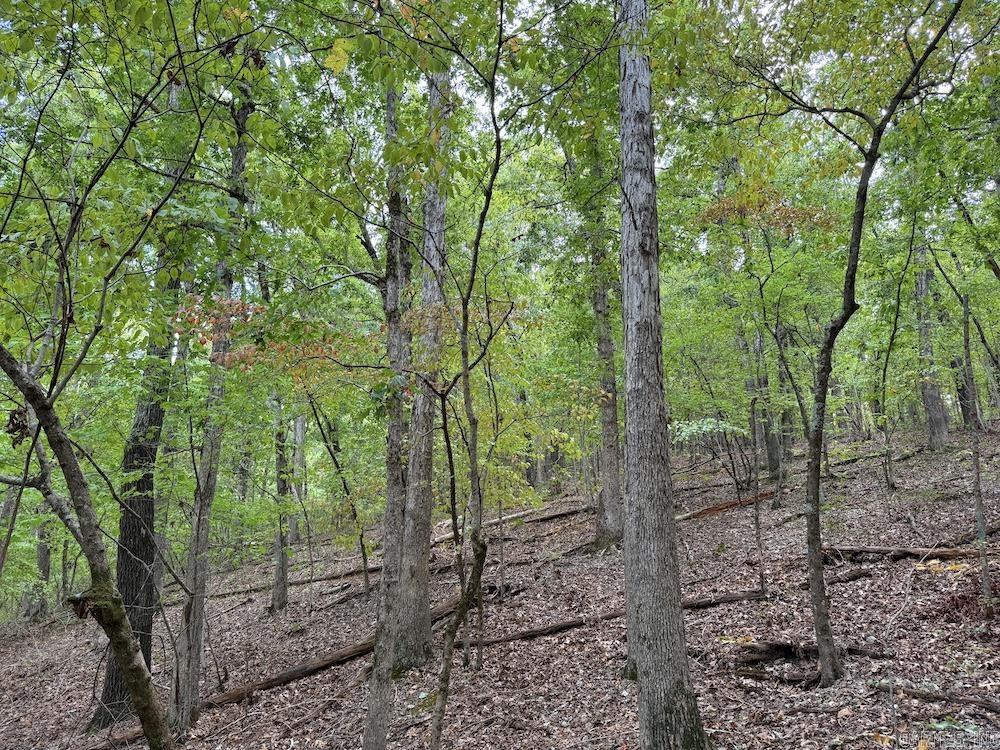 Photo 46 - Vacant Land for sale –   HWY 9   Melbourne, AR