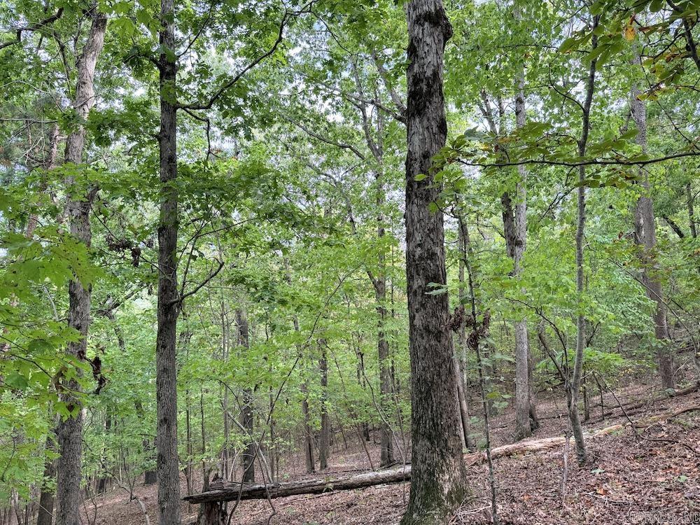 Photo 47 - Vacant Land for sale –   HWY 9   Melbourne, AR