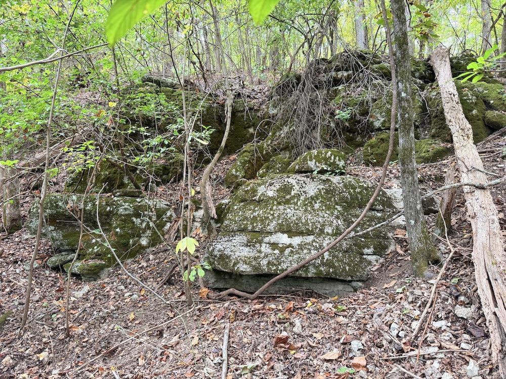 Photo 48 - Vacant Land for sale –   HWY 9   Melbourne, AR