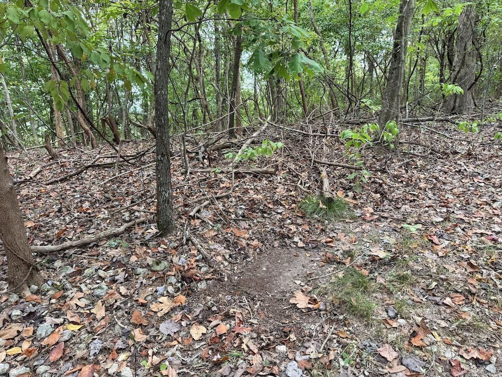 Photo 7 - Vacant Land for sale –   HWY 9   Melbourne, AR