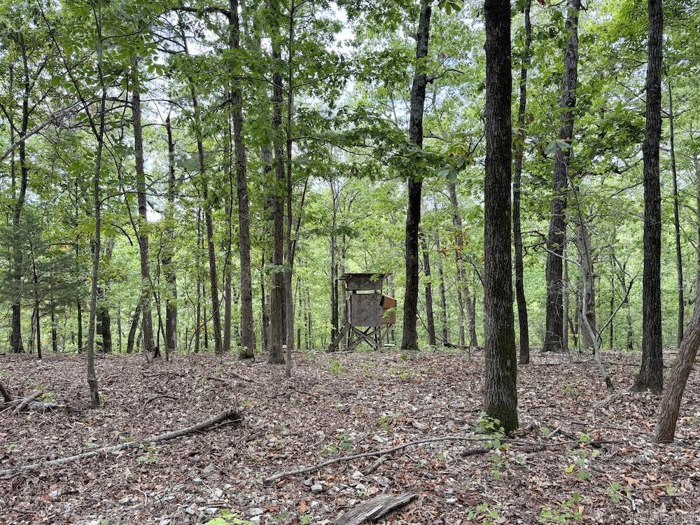 Photo 8 - Vacant Land for sale –   HWY 9   Melbourne, AR