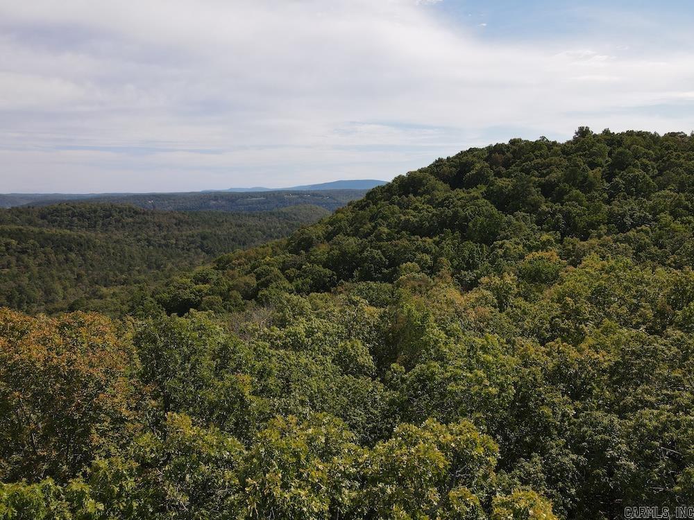 Photo 10 - Vacant Land for sale –   HWY 9   Melbourne, AR