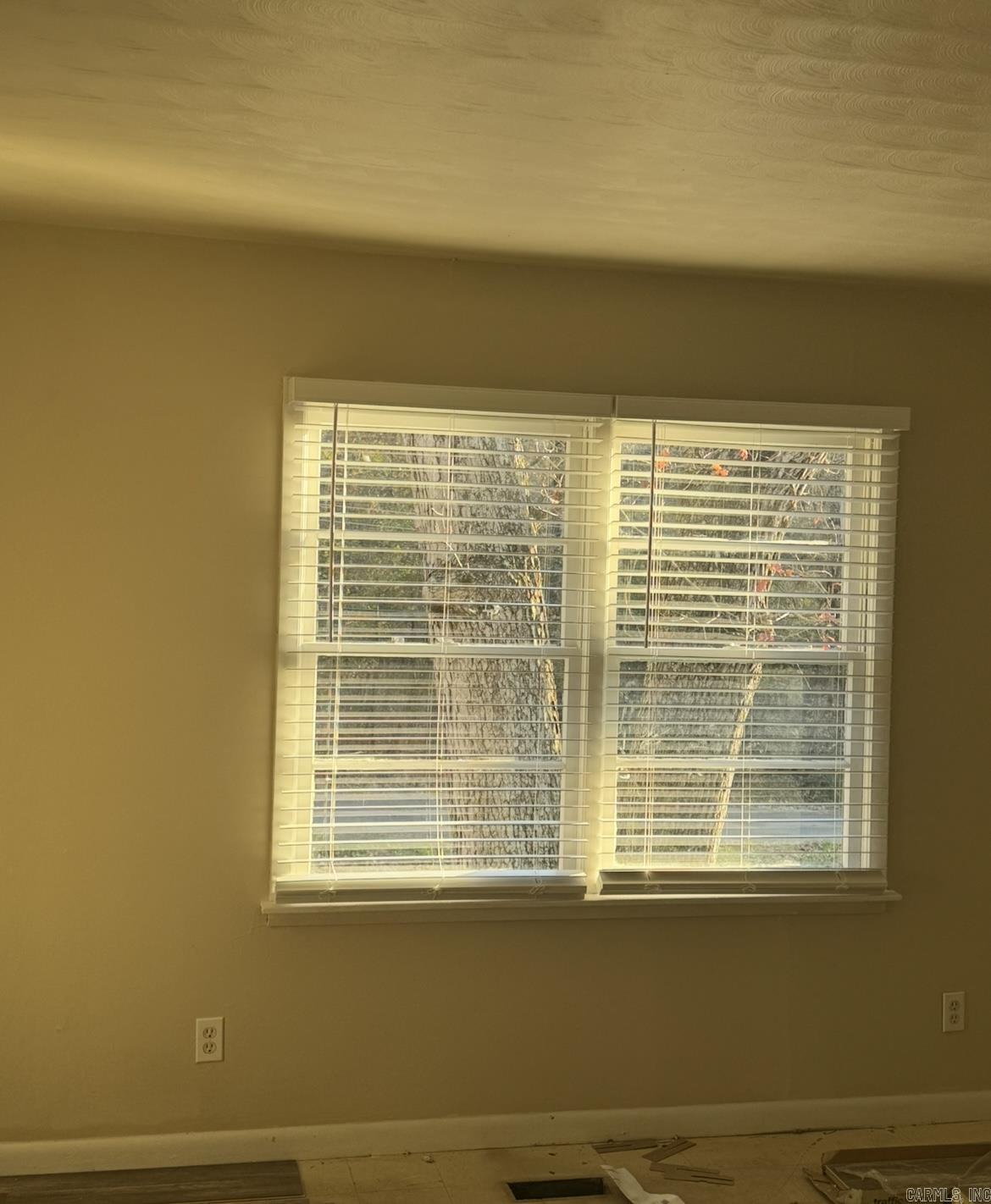 Photo 4 - Residential for sale – 29  Algonquin   Cherokee Village, AR