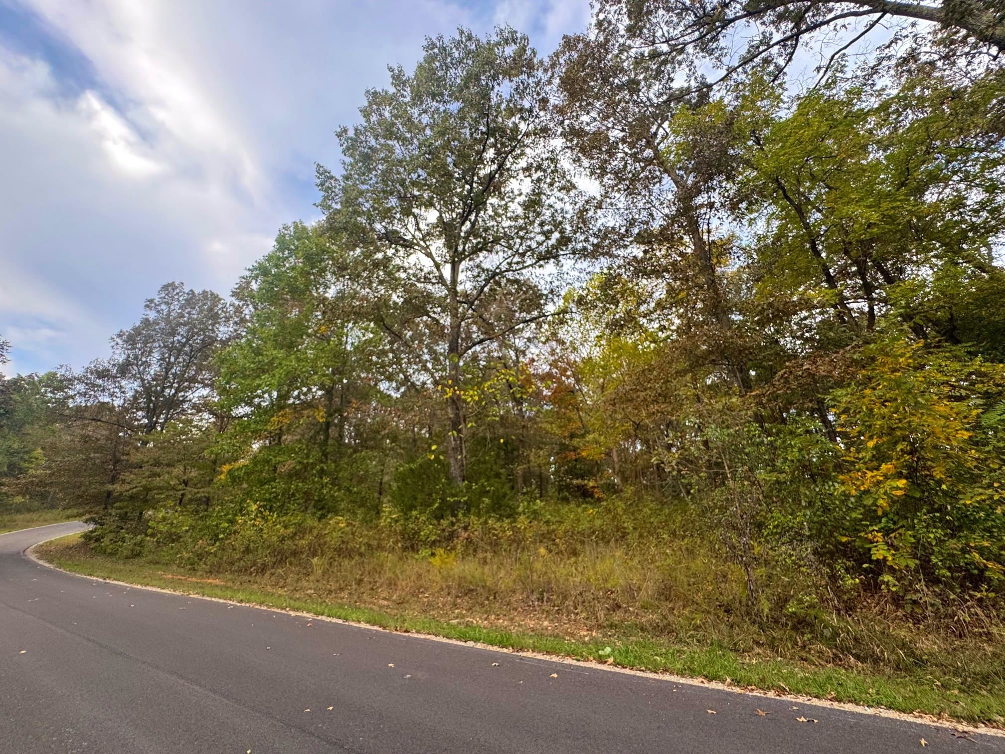 Photo 2 - Vacant Land for sale – Lot 29  Goodwin Cove Lot 29, Goodwin Cove, Secluded Estates  Ash Flat, AR
