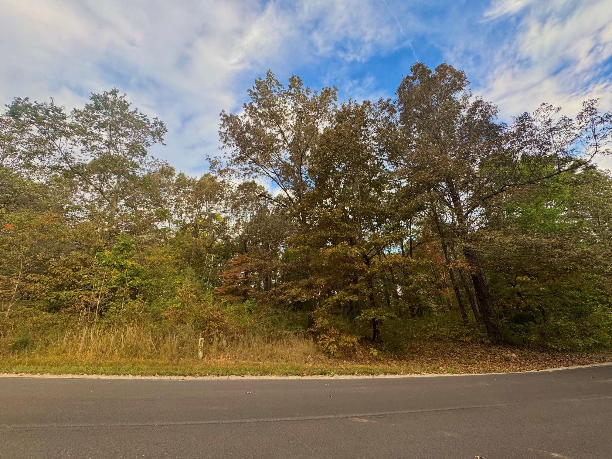 Photo 7 - Vacant Land for sale – Lot 29  Goodwin Cove Lot 29, Goodwin Cove, Secluded Estates  Ash Flat, AR